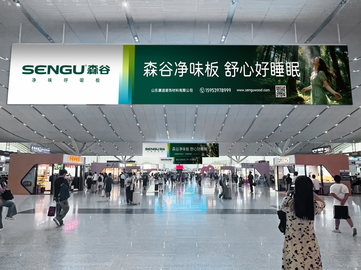 机场P图1.jpg