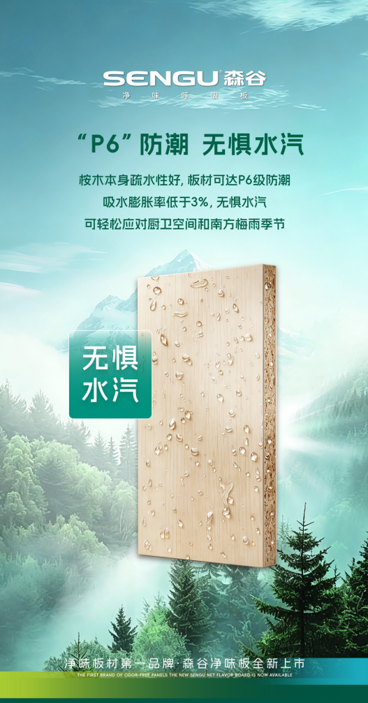 P6防潮.png